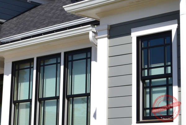 Black sash windows
